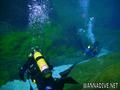 scuba diving photo