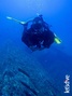 scuba diving photo