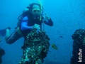 scuba diving photo