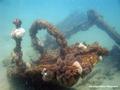 scuba diving photo