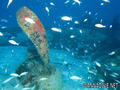 scuba diving photo