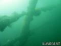 scuba diving photo