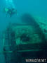scuba diving photo