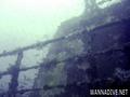 scuba diving photo