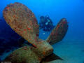 scuba diving photo