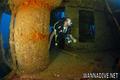 scuba diving photo