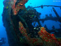 scuba diving photo