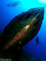 scuba diving photo