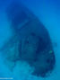 scuba diving photo