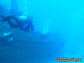 scuba diving photo