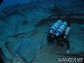 scuba diving photo