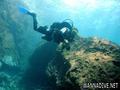 scuba diving photo
