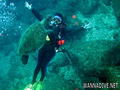 scuba diving photo