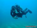 scuba diving photo