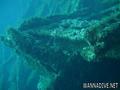 scuba diving photo