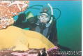 scuba diving photo