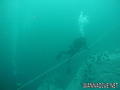 scuba diving photo