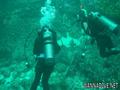 scuba diving photo