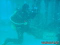 scuba diving photo