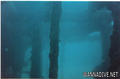 scuba diving photo