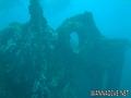scuba diving photo