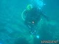 scuba diving photo
