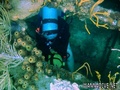 scuba diving photo