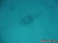 scuba diving photo