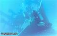 scuba diving photo