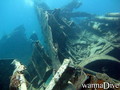 scuba diving photo