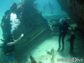 scuba diving photo
