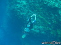 scuba diving photo