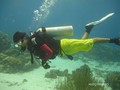 scuba diving photo