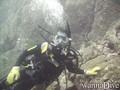 scuba diving photo