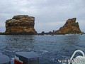 scuba diving photo