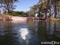 scuba diving photo
