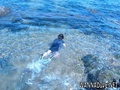 scuba diving photo