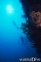 scuba diving photo