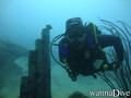 scuba diving photo