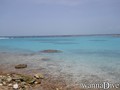 scuba diving photo