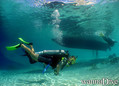 scuba diving photo