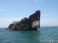scuba diving photo