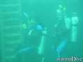 scuba diving photo
